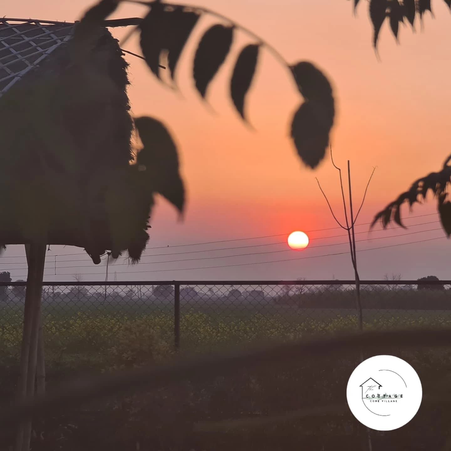 Sunset at The Cottage Core Village